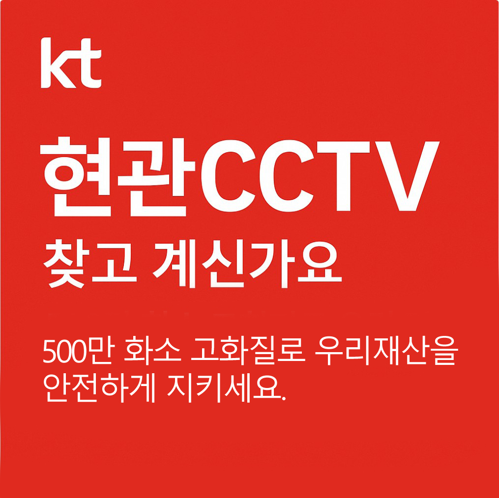 현관cctv001
